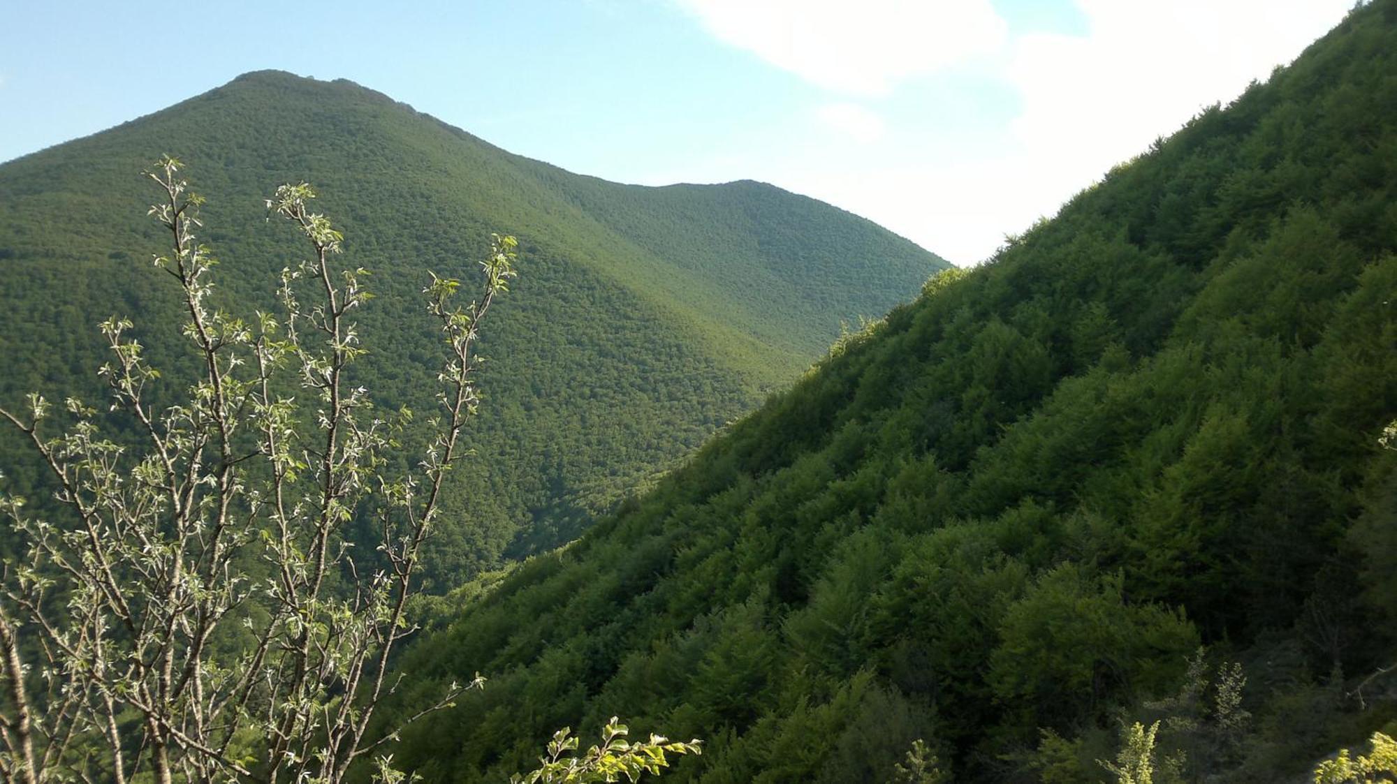 Albergo Corradetti Castel Di Sangro Εξωτερικό φωτογραφία
